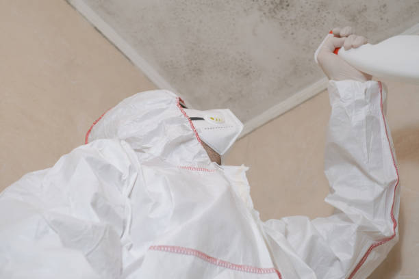 Best Mold Remediation for Specific Building Types in Welcome, SC